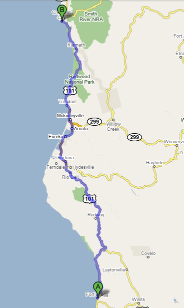Bragg-Redwoods.png