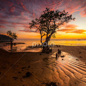 Nirwana Beachs at Dusk by Ade Noverzan - Landscapes Sunsets & Sunrises