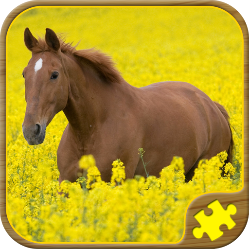 Horse Puzzles Free 解謎 App LOGO-APP開箱王