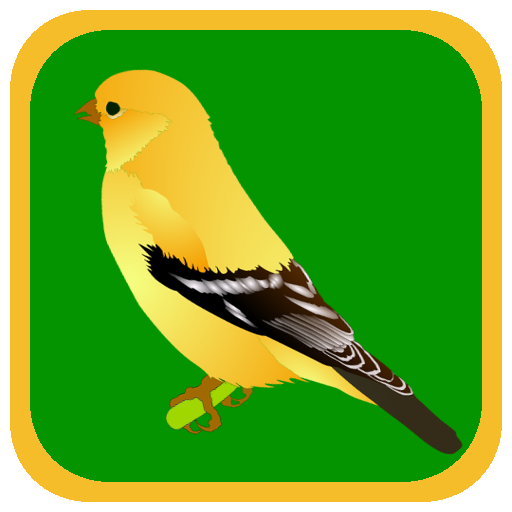 Quiz Bird Free 解謎 App LOGO-APP開箱王