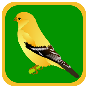 Quiz Bird Free 1.1
