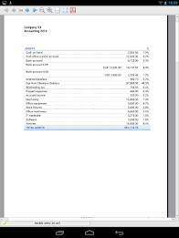 Banana Accounting 7 poster 6