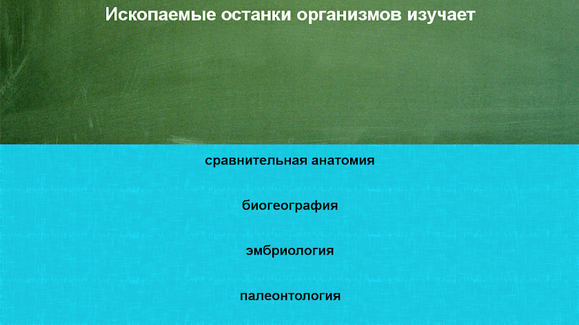 ЕГЭ - проверь себя! Screen 3