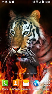 Tiger Live Wallpaper(圖7)-速報App