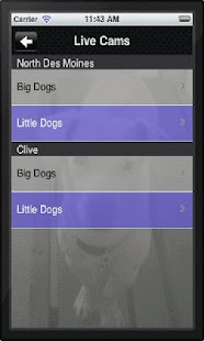 How to get 4 Paws Unleashed patch 1.401 apk for android