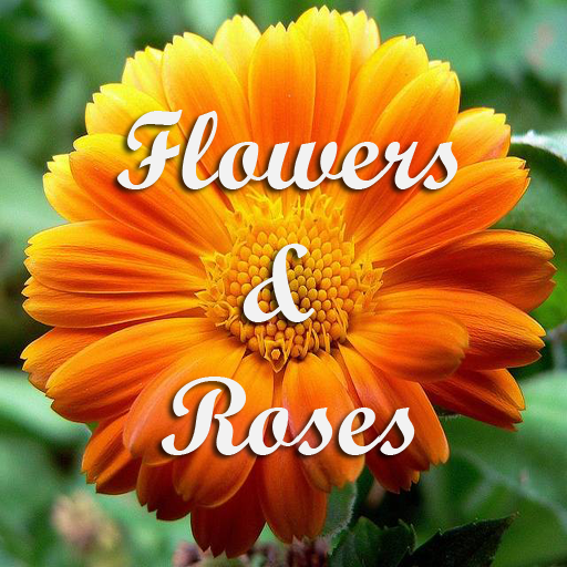 Flowers and Roses LOGO-APP點子