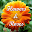 Flowers and Roses Download on Windows