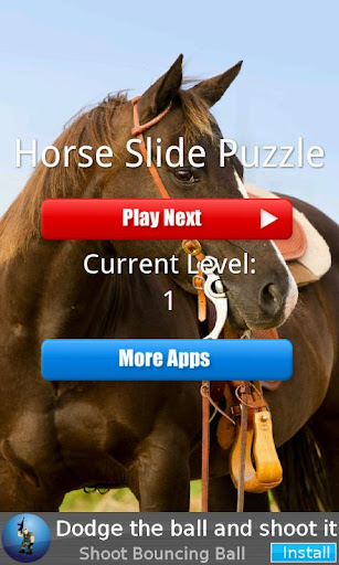 Horse Slide Puzzle