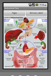 Picturing MEDICINE Screenshots 3