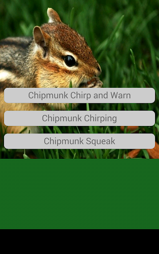 Chipmunk Sounds