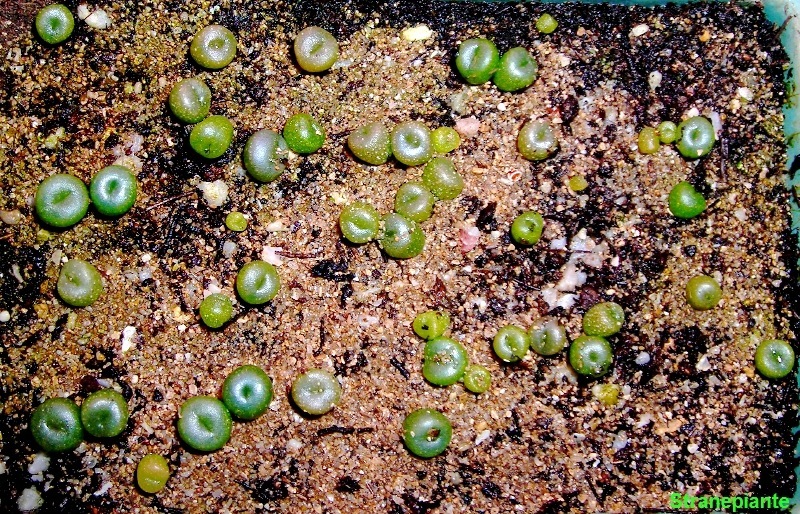 [200801174.1[1].jpg]