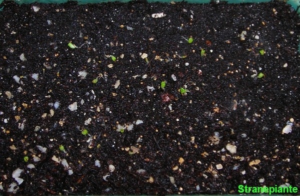 [200711201.114[1].jpg]