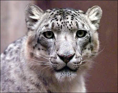 [image7[1].png]