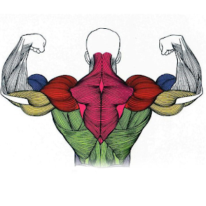 Качаем ВСЁ logo