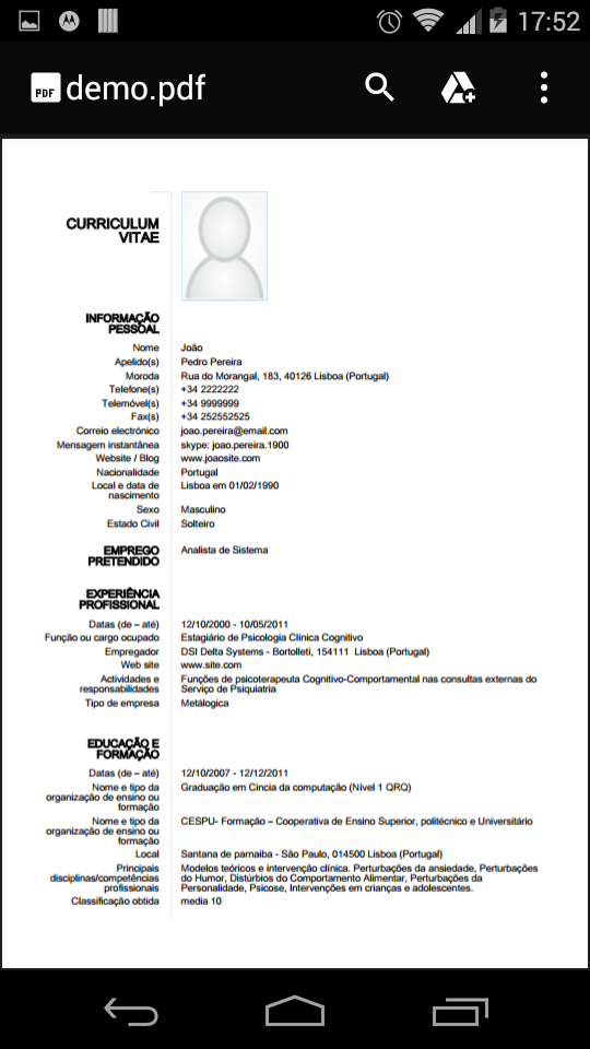 Curriculum vitae europeu PREMI Screen 3