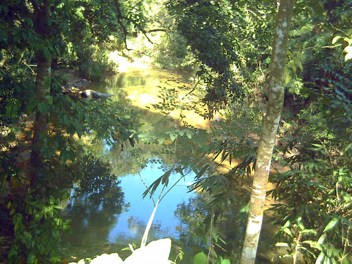PICT0082-1.JPG