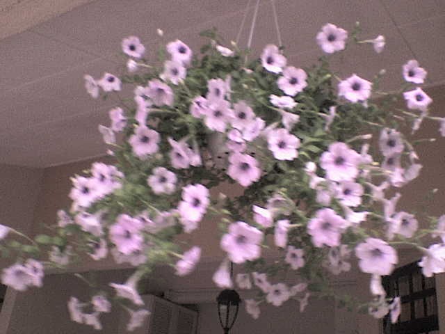 [DSC000763.jpg]