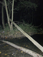PA260096.JPG