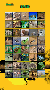 Africa Puzzles Screenshots 7