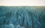Les Tsingy, se présentent comme de véritables cathédrales de calcaires, constitués d'un réseau très dense de failles, de crevasses,de surfaces de blocs calcaires sculptés en lames ou en aiguilles acérées. Roches calcaires formées par un dépot de fossiles et de coquillages morts sous la mer il y a 200 millions d'années, et par la suite façonnées par l'eau des pluies il y a 5 millions d'années, les Tsingy offrent l'un des paysages les plus spectaculaires de l'ile.