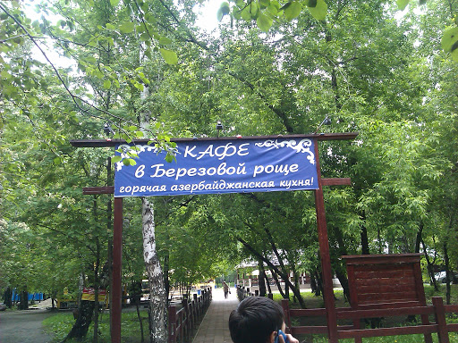 Кафе березовая роща новосибирск. Кафе березовая роща новосибирск. Ул. Березовая роща тюмень кафе. Кафе березка новосибирск березовая роща.