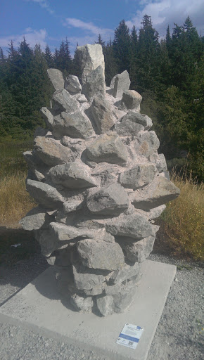 Whistler's Largest Pine Cone