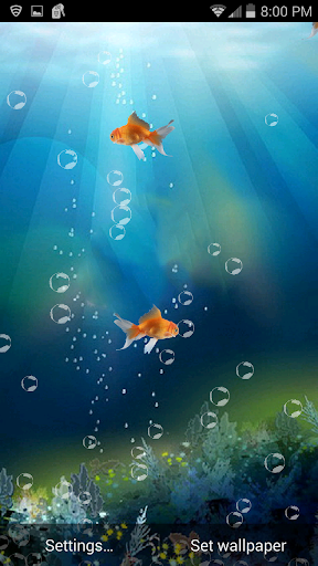 免費下載個人化APP|Goldfish in your Phone LWP app開箱文|APP開箱王