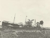 Stoomschip Haliotis