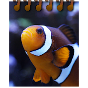 Nativnux Aquarium Logger Pro
