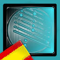 Don`t miss logo