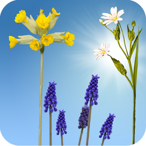 Spring Meadow Live Wallpaper.apk 2.03
