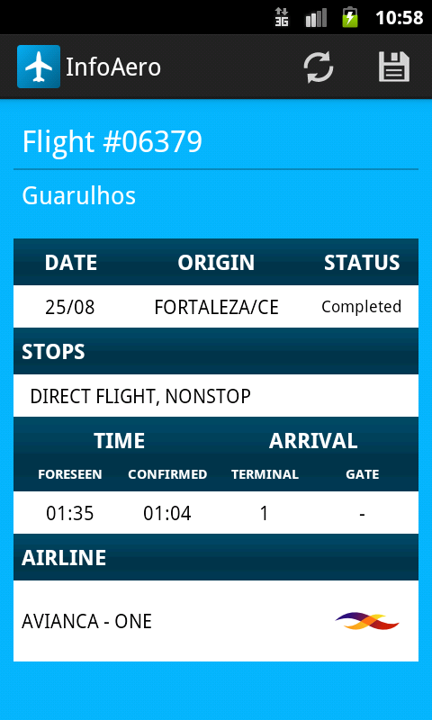 InfoAero Screen 2