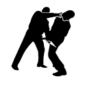 Krav Maga Training icon