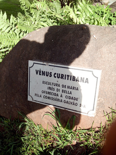 Venus Curitibana Fonte
