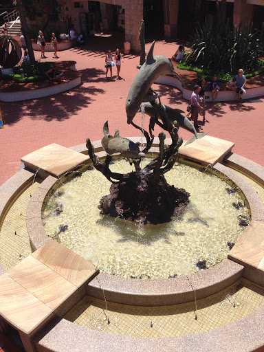 Warringah Mall Fountain