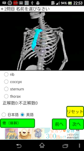 クイズ「解剖くん」(圖5)-速報App