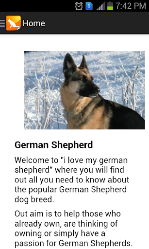 I Love My German Shepherd