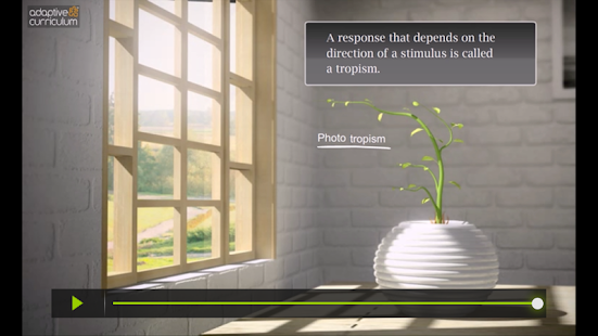 Phototropism in Plants Screenshots 0