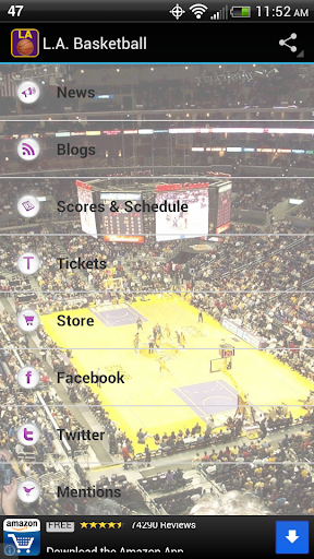 L.A. Basketball