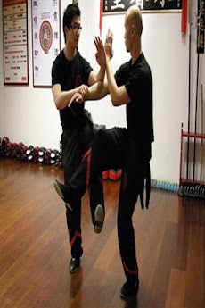 詠春拳のテクニックのおすすめ画像1