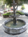 Fuente Del Parque