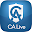 CALive Download on Windows