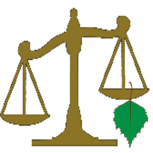 A weight scale for mobiles.apk 1.7