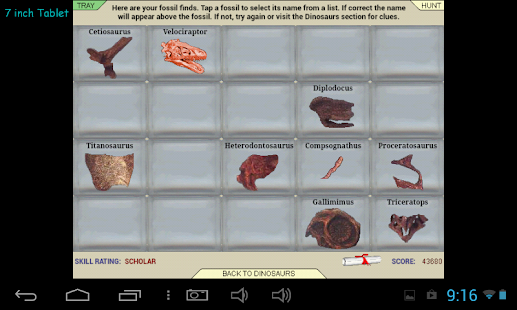 download Dinosaur Hunt free
