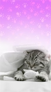 How to install Purring Tiger kitten LWP Purr mod apk for bluestacks