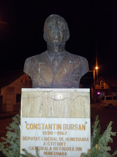 Bust Constantin Bursan