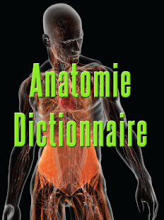 Anatomie Dictionnaire