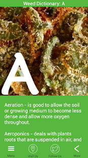How to install Weed Dictionary 5.0.0 mod apk for android