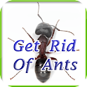 Get Rid Of Ants