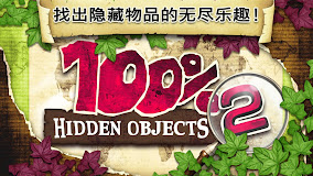 100% Hidden Objects 2